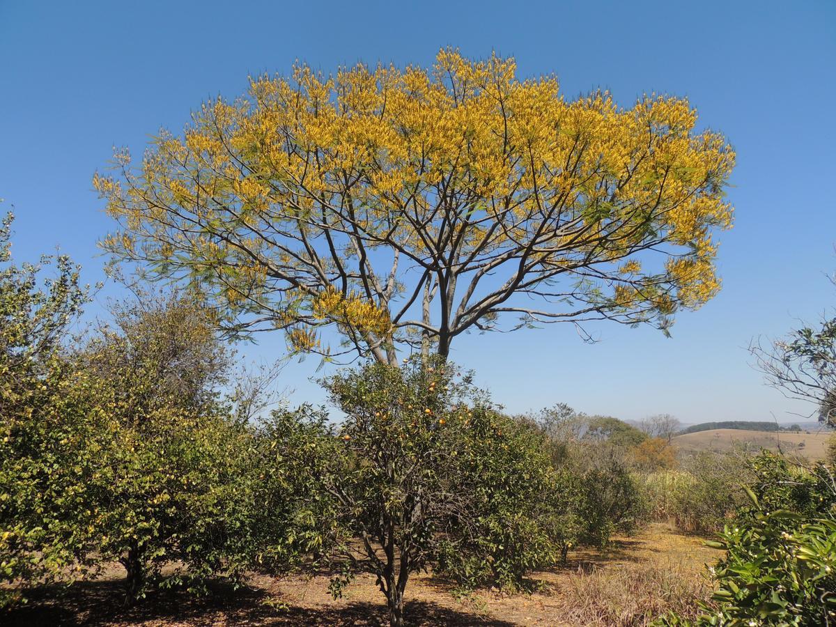 Pousada Sitio Da Serra Carrancas Zewnętrze zdjęcie