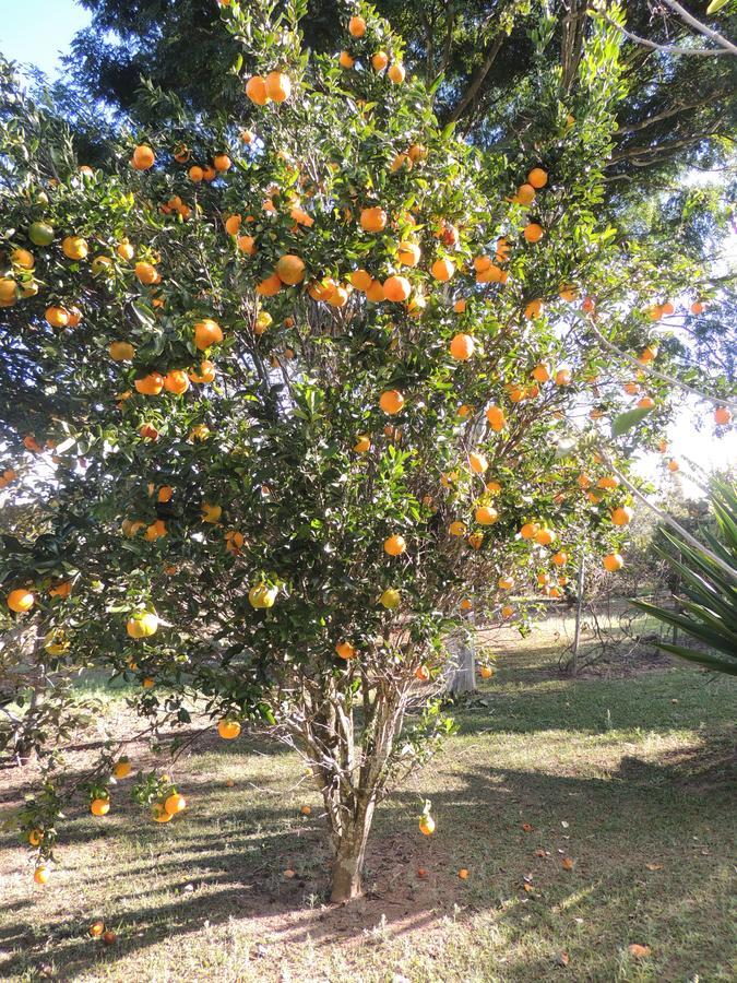 Pousada Sitio Da Serra Carrancas Zewnętrze zdjęcie
